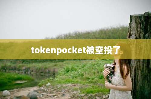 tokenpocket被空投了