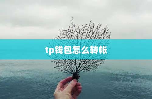 tp钱包怎么转帐