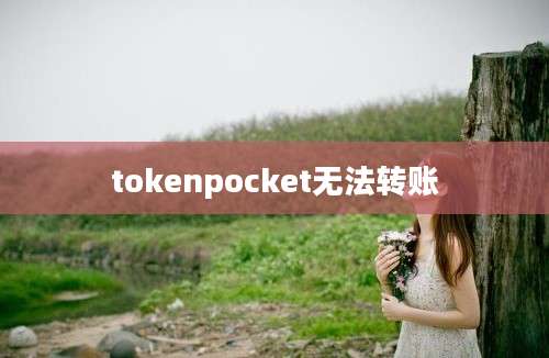 tokenpocket无法转账