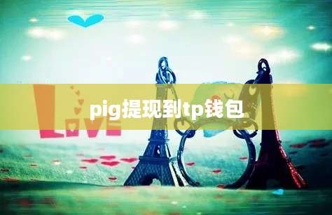 pig提现到tp钱包