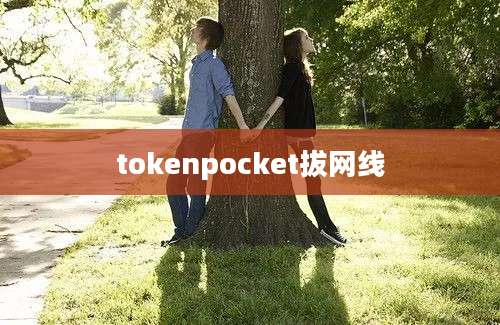 tokenpocket拔网线