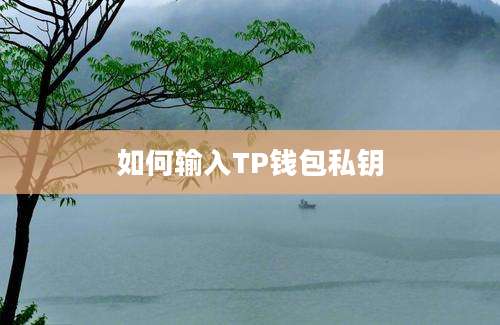 如何输入TP钱包私钥