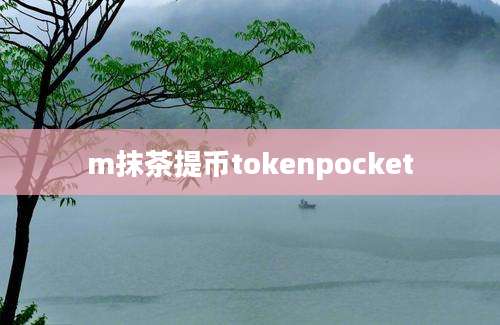 m抹茶提币tokenpocket