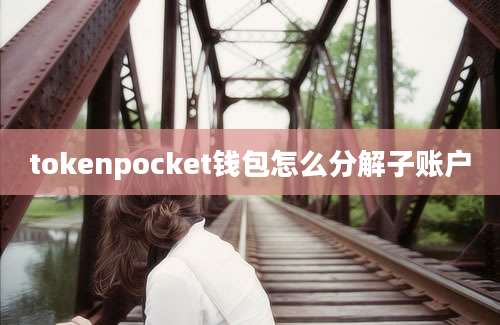 tokenpocket钱包怎么分解子账户