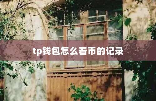 tp钱包怎么看币的记录