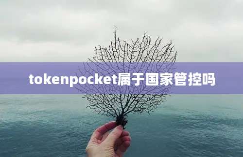 tokenpocket属于国家管控吗