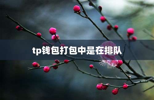 tp钱包打包中是在排队