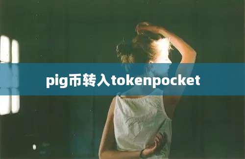 pig币转入tokenpocket