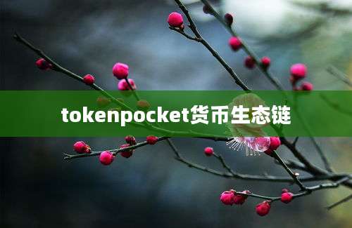 tokenpocket货币生态链