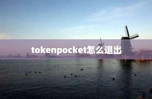 tokenpocket怎么退出