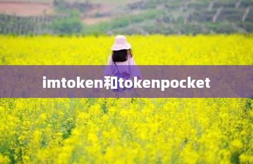 imtoken和tokenpocket