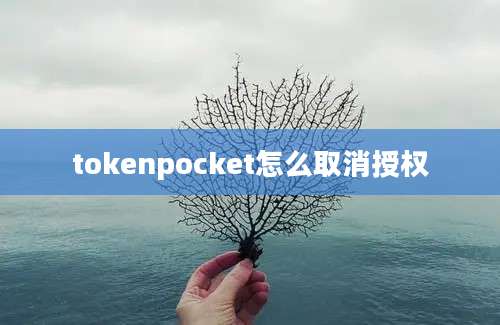 tokenpocket怎么取消授权