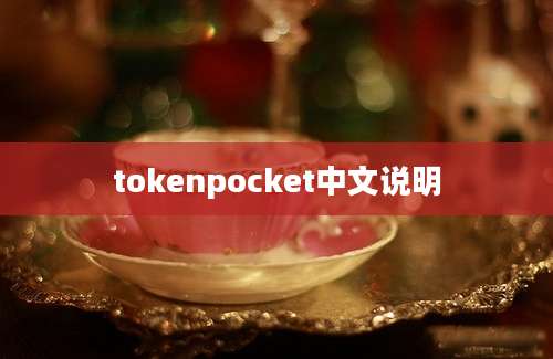 tokenpocket中文说明