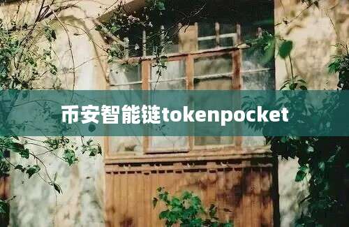 币安智能链tokenpocket