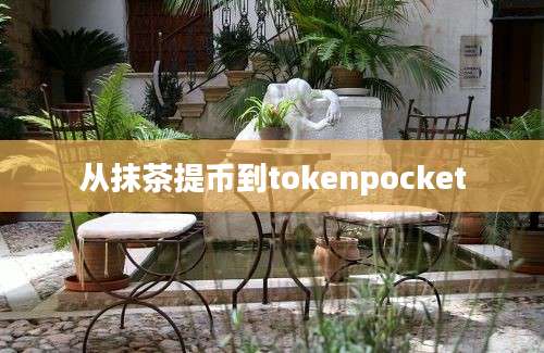 从抹茶提币到tokenpocket