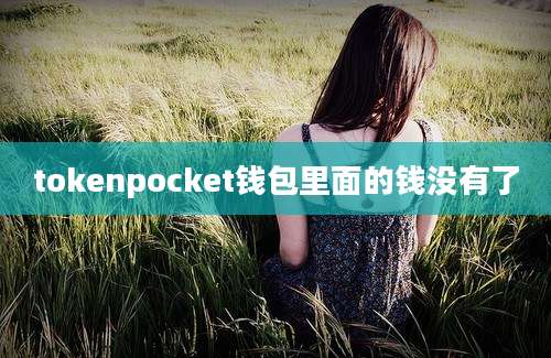 tokenpocket钱包里面的钱没有了