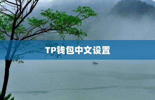 TP钱包中文设置