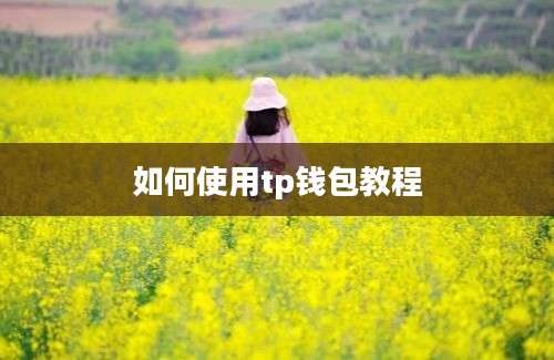 如何使用tp钱包教程