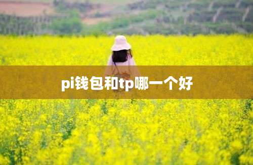 pi钱包和tp哪一个好