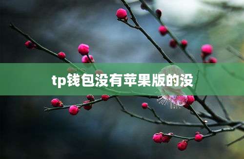 tp钱包没有苹果版的没