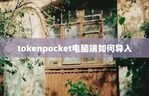 tokenpocket电脑端如何导入