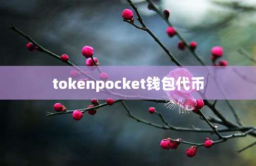 tokenpocket钱包代币