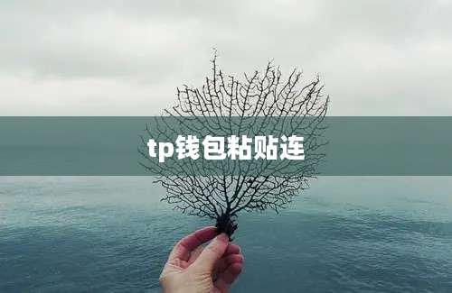 tp钱包粘贴连