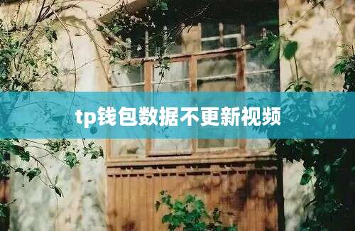 tp钱包数据不更新视频