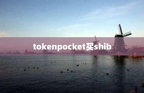 tokenpocket买shib