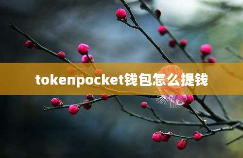 tokenpocket钱包怎么提钱