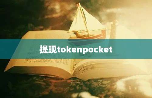 提现tokenpocket