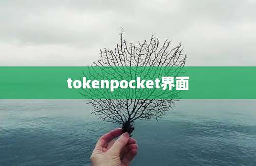 tokenpocket界面