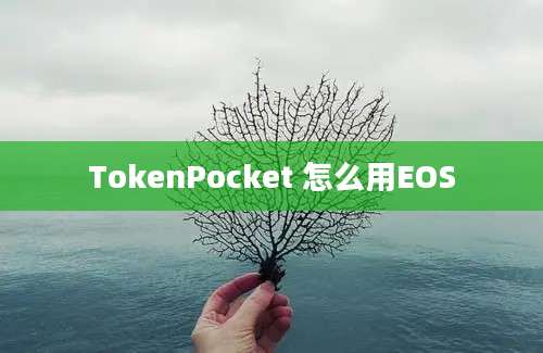 TokenPocket 怎么用EOS