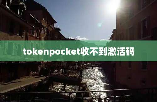 tokenpocket收不到激活码