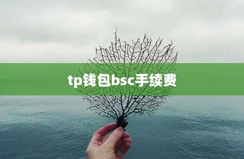 tp钱包bsc手续费