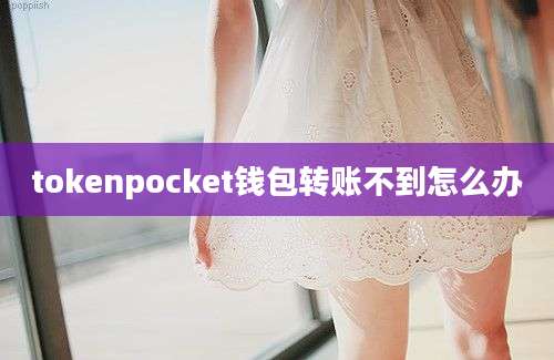 tokenpocket钱包转账不到怎么办