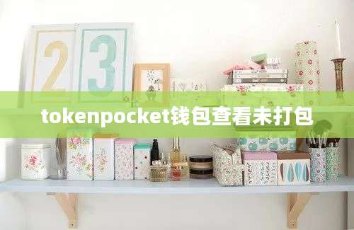 tokenpocket钱包查看未打包