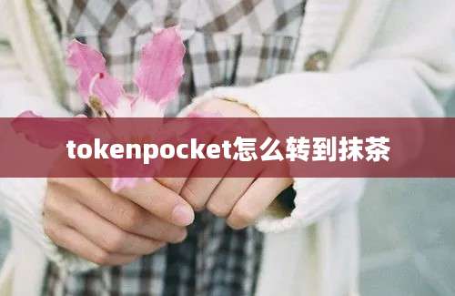 tokenpocket怎么转到抹茶