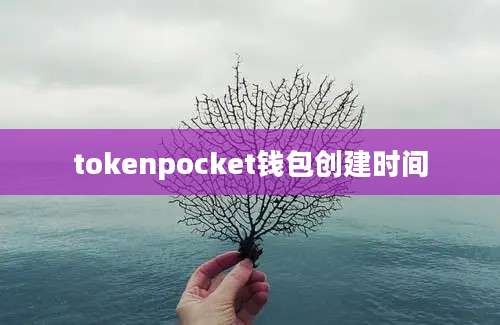 tokenpocket钱包创建时间