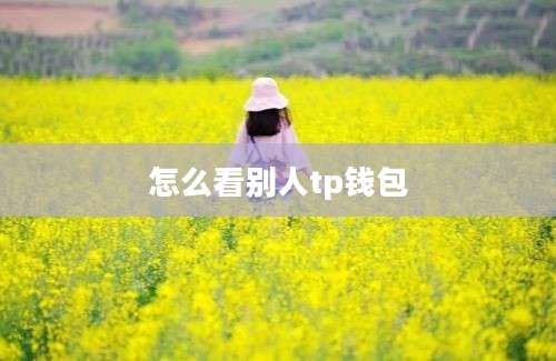 怎么看别人tp钱包