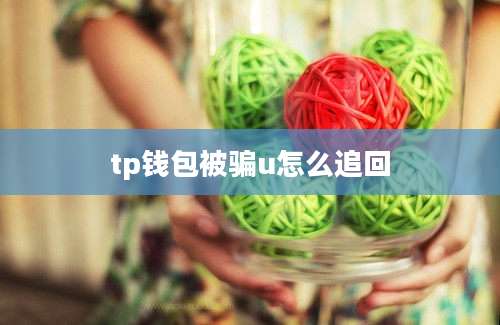 tp钱包被骗u怎么追回