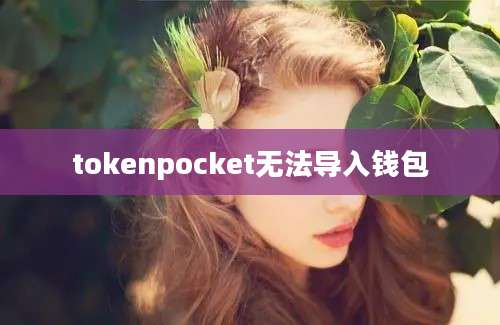 tokenpocket无法导入钱包