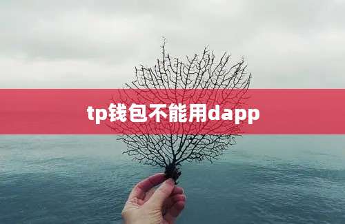 tp钱包不能用dapp