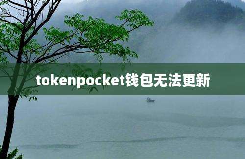 tokenpocket钱包无法更新