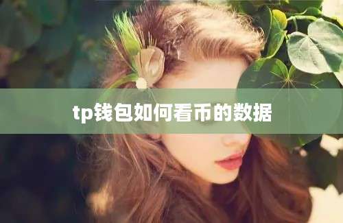 tp钱包如何看币的数据