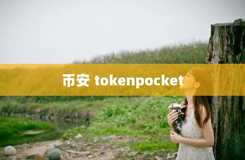 币安 tokenpocket