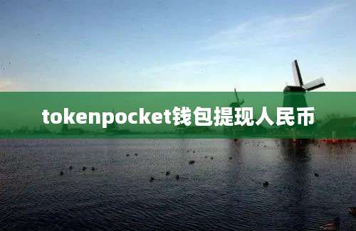 tokenpocket钱包提现人民币