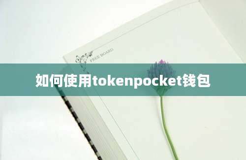 如何使用tokenpocket钱包