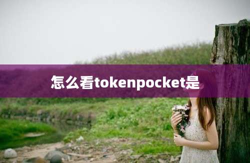 怎么看tokenpocket是