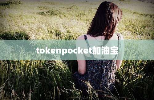 tokenpocket加油宝